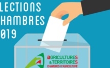 Elections aux Chambres d'agriculture : Vote électronique, mode d’emploi
