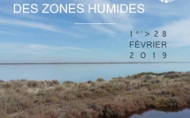 Changement climatique : Les journées mondiales des zones humides reviennent en Corse