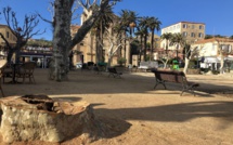 Lisula : Le platane abattu était malade et menaçait de tomber sur la terrasse du café