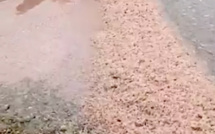 Villanova : Qu'est ce que c'est ?