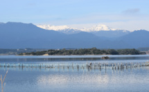 La photo du jour : l'étang d'Urbino et le Monte d'Oro capturés au petit matin