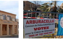 Collectes de Sang mardi 19 février à Ghisonaccia