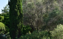 Appel à candidature « Rendez-Vous aux Jardins » 2019 IN(di)VISIBLE