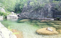 Corse : La pêche est ouverte