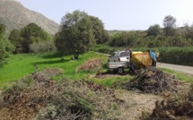 Afa : La campagne "stop au brûlage des déchets verts" continue