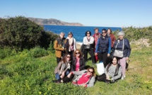 La Marie Do Balagne à la recherche de plantes sauvages à Pointe Saint-François 