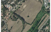 PLU de Calvi : Core in Fronte dénonce « des terres agricoles en danger »