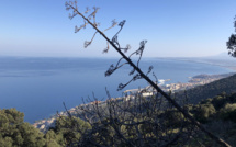 L’image du jour : Balade sur les hauteurs de Bastia
