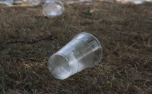 Halte au plastique : plusieurs objets jetables interdits dans l'UE dès 2021