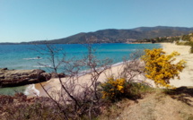 La météo de vendredi 29 mars en Corse