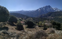 La photo du jour : Olmi-Capella avec vue sur le Monte Padru