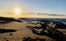 La photo du jour : Lever de Soleil sur Tarco