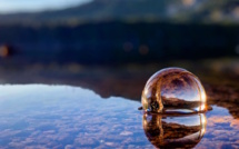 La photo du jour : La forêt de l'Ospedale dans une boule de cristal