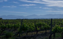 Les Vignerons de la Cave d’Aleria primés au concours agricole 