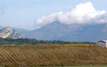 La Chambre d’Agriculture de Haute-Corse participe à la journée ISULA MORTA