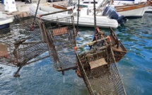 Grand nettoyage de printemps au port de plaisance de Bonifacio