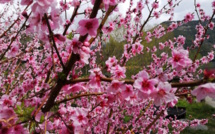 La météo de ce mercredi 17 avril en Corse