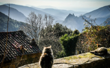 La météo de ce jeudi 18 avril en Corse