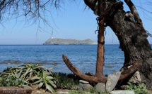 La météo de ce vendredi 19 avril en Corse