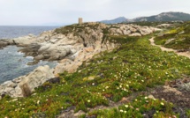 La photo du jour : Punta di Spanu