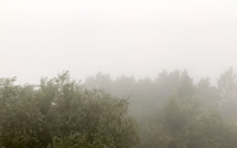 Le Cap Corse dans la brume