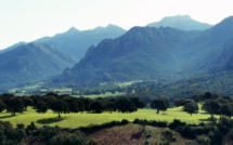 La photo du jour : Tous les verts de la vallée de l'Ortolu