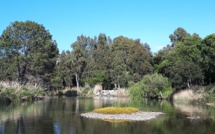 La photo du jour : La Figarella comme un havre de paix