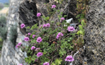 La météo du dimanche 5 Mai en Corse