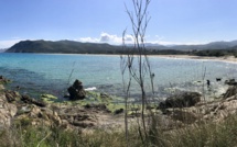 La photo du jour : La plage de l'Osari