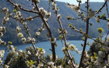 La météo du mercredi 8 Mai en Corse