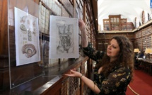 La médecine occidentale s'expose à la Bibliothèque Patrimoniale d'Ajaccio 