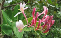 La météo du jeudi 9 Mai en Corse