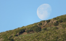 La météo du vendredi 10 Mai en Corse