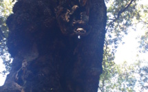 La météo du lundi 13 Mai en Corse