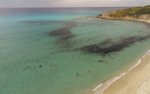 La photo du jour : La superbe plage de Bodri