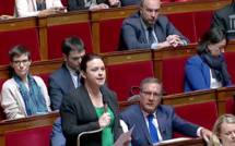 "A quand un statut semblable à celui des autres îles de la Méditerranée pour la Corse ?" :  la question de Sylvia Pinel au Premier ministre