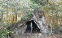 A la découverte des chênes remarquables d'Argiusta-Moriccio