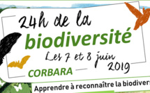 Les 7 et 8 juin Corbara célèbre les 24H de la Biodiversité