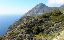 La photo du jour : sauvage Cap Corse