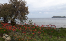La photo du jour : l'îlot de la Giraglia