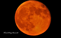 La lune des fraises marque le début de l'été