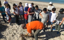 Aire marine. Une première année très riche pour les écoliers du Ruppione