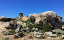 La photo du jour : Punta d’Omigna à Carghjese