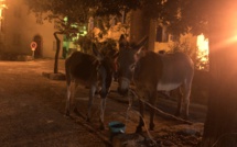 Cochja è Chjuchjara en promenade à Montemaiò