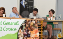 Foires et marchés de Corse à Corti : des conseils et idées pour faire mieux encore