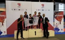 Coupe de France Wushu : Les petits Dragons Rouge Ajaccio rentrent avec 3 médailles d argent.