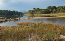 La météo du Samedi 29 Juin en Corse