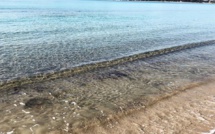 Bonifacio Tourisme : Plus de 87 000 fans sur Facebook