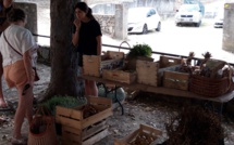 Gravona : L ‘Associu pa a difesa di U Celavu reprend ses mercati nustrali