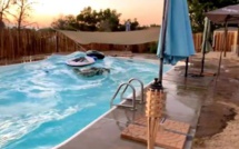 Séisme : piscine mouvante en Californie